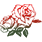 Розы